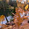 SAM-5986-NX3024-mm-1-60-sec-at-f-40.jpg