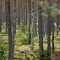 SAM-5773-NX30-1-250-sec.jpg