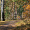 SAM-9669-NX3098-mm-1-100-sec-at-f-90.jpg