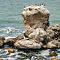 DSC02017.jpg
