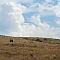 DSC02066.jpg