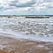 DSC02117.jpg