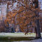 DSC07007-ILCE-7M3-40-mm.jpg